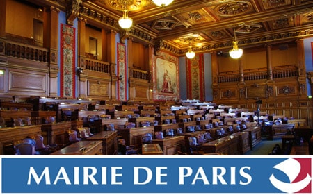 Le Conseil de Paris délibère sur l’éradication des termites