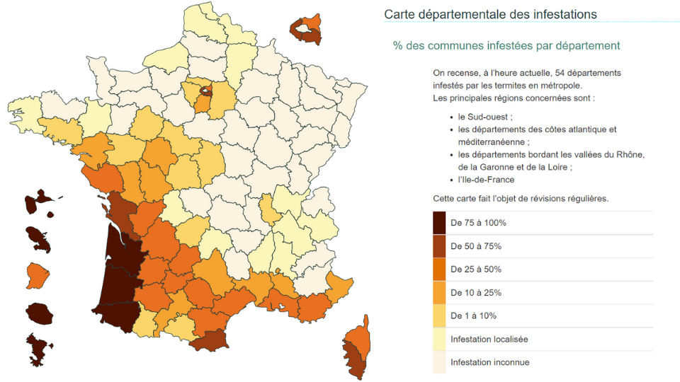 Carte d'infestation des termites par département. On peut y voir le niveau d'infestation par zone en France.