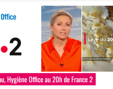 Mérule Hygiène Office au 20h de France 2