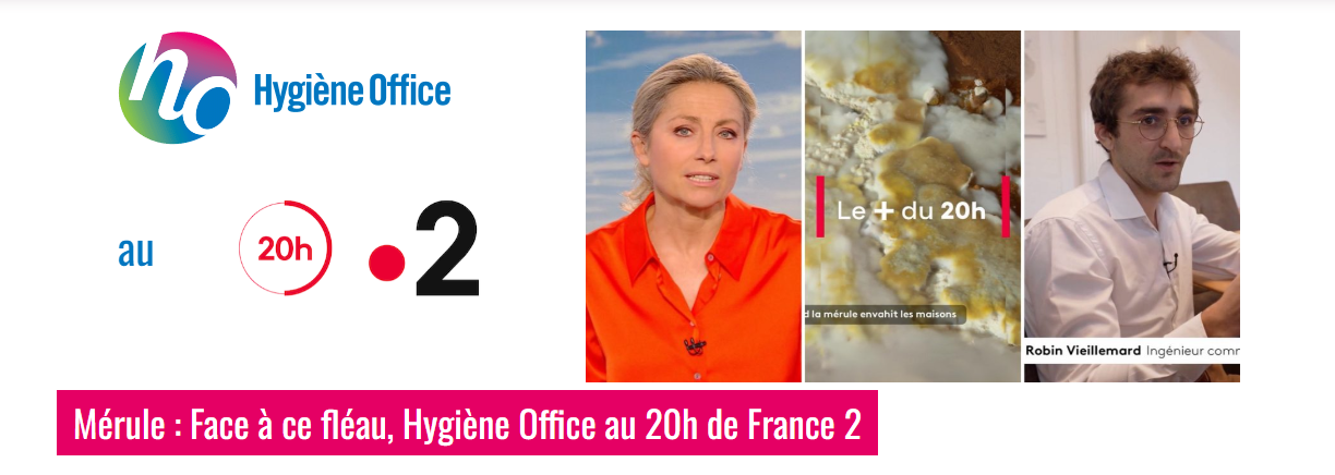 Mérule, Hygiène Office au + du 20h de France 2