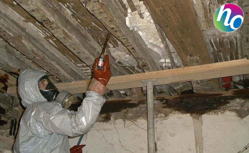 Un traitement anti termites chimique est faisable lorsque l'on est en pleine réhabilitation